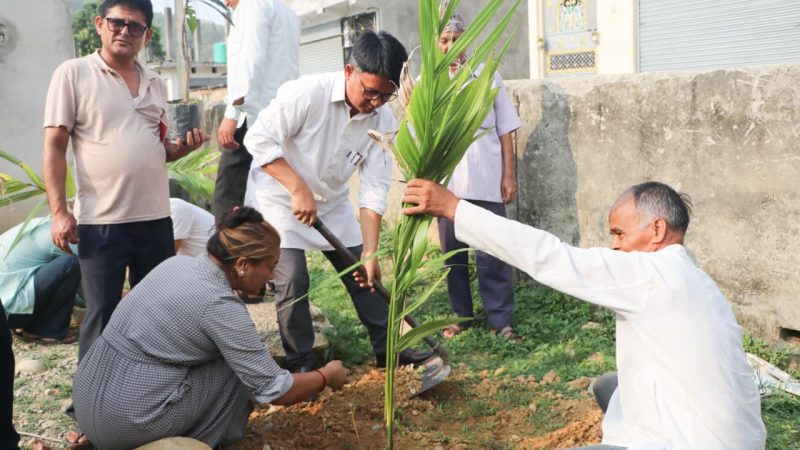 विश्व वातावरण दिवसको अवसरमा राप्तीमा वृक्षारोपण