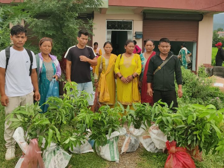 राप्तीका १४५ विपन्न किसानलाई उन्नत जातका फलफूलका बिरुवा वितरण