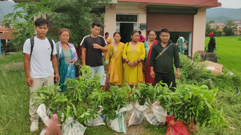 राप्तीका १४५ विपन्न किसानलाई उन्नत जातका फलफूलका बिरुवा वितरण