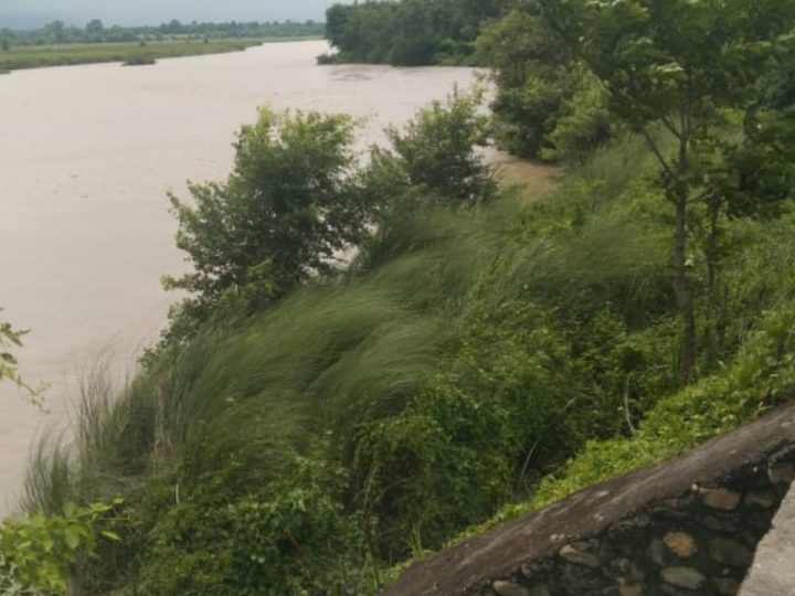 राप्ती नदी कटानले बगरापुर–सगरापुर सामुदायिक वनमा ठूलो क्षति : ५ सय बोट विरूवा नष्ट