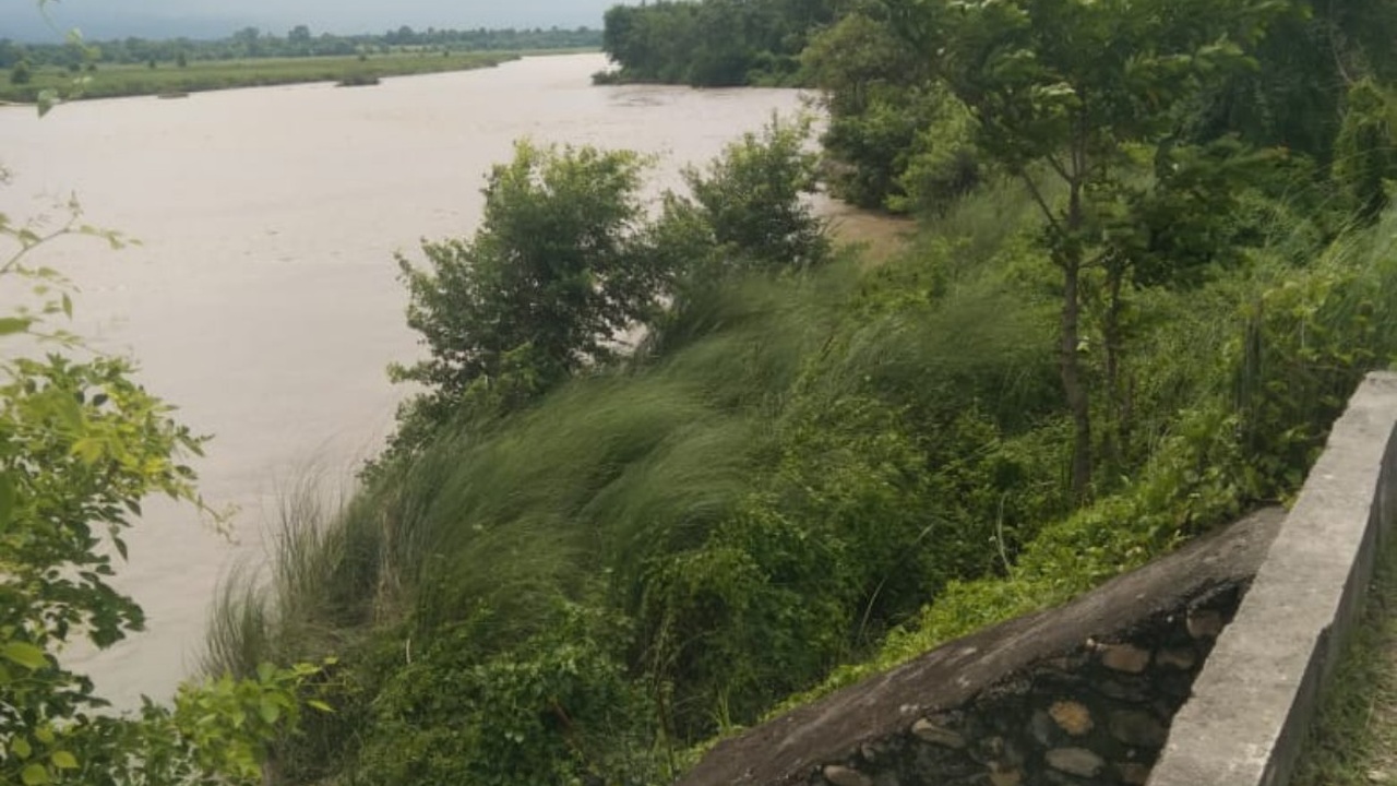 राप्ती नदी कटानले बगरापुर–सगरापुर सामुदायिक वनमा ठूलो क्षति : ५ सय बोट विरूवा नष्ट